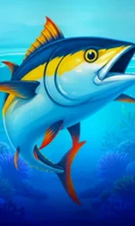 Big Boat Big Catch